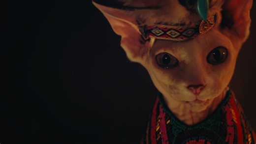 CUTE_RAIDER_viewable