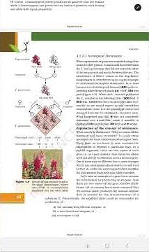 🌸 Incomplete Dominance Easy Trick | Class 12 Biology | #shorts #viral