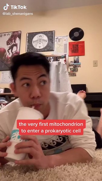 Exploring the Endosymbiotic Theory: The Role of Mitochondria