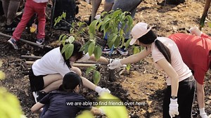 100 OCBC Cycle participants were at the Dairy Farm Nature Park on 1 June, minus wheels. They were there to help us plant 140 trees - 1 for every 50 cyclists who registered for OCBC Cycle 2019. Here’s why: | OCBC