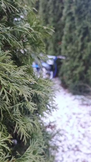 peeeveeee #suzukipv #tehoalöytyy #pvsuzuki #mpmessut2026 #suzuki