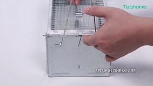 Humane Rat Cage Trap, Dual Door Metal Live Animal Trap for Rats, Mice, Squirrels, Easy Catch & Release, Reusable Indoor/Outdoor