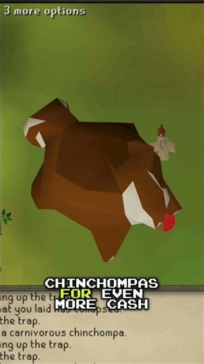 Hunter: Game-Changing Gold Farm in RuneScape #shorts