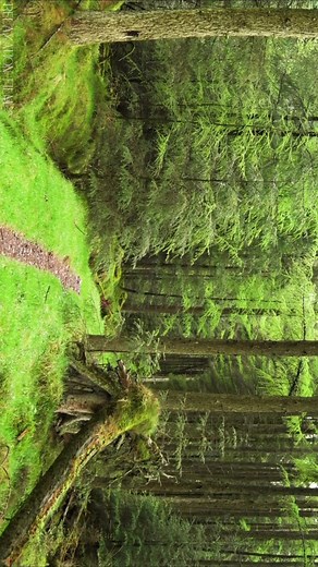 #corecore #hopecore #nichetok