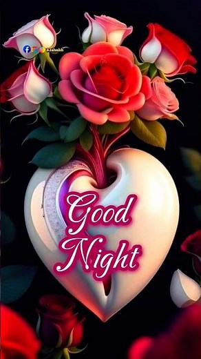 Good Night Video Flowers with good night video Rose photo Wishes ‪@GoodMorningCreators‬