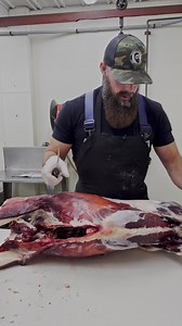 Removing the deer shoulder 🦌🔪 Watch the full video on our YouTube channel, "A Visual Guide to the Cuts of Deer: Learn Where Every Cut Comes From!" #reels #butcher #butchering #deer #venison #thebeardedbutchers #meat #deershoulder #youtube #educational | The Bearded Butchers