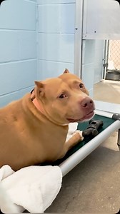 244 reactions · 87 shares | She is one of the sweetest and most...