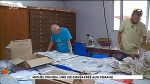 Petite plongée sous-marine pour faire connaissance avec l'auteur du guide d'identification des coraux de Moorea... Michel Pichon a fait partie de l'expédition "Under The Pole" qui a sillonné la Polynésie en quête d'échantillons de coraux durant plusieurs mois. Aujourd'hui il s'occupe de les trier et les repertorier. | La 1ère