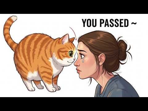 Cat Behavior Explained: 7 Signs They Trust You