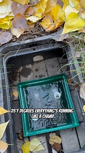 Ram Pump Water System 24°F 🤝🛠️🥶•Coldest morning of the year to date. And we’re checking up on the ramp pump powered, off-grid water system. 🙌💧🙌•It’s better to be a warrior in a garden than to be a gardener in a war. 🌱🥷•#modern #rural #civilian #selfsufficient #off-grid #sustainableliving #rootcellar #switch-grid #foodprodution #foodpreservation #beekeeping #rampump #homestead #waterislife #bushcraft #apothecary #preparedness #precisionshooting #fish #overland #community #hunt #forage #sa