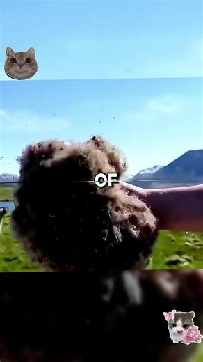 Faze Rug Leaves Faze Clan#fyp #tiktok #trend | Faze Rug Leaving Faze Clan