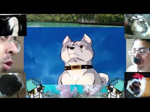 No colonization game on Thanksgiving, just the return of the HOLIDAY PEPPINO TRADITION 🎄