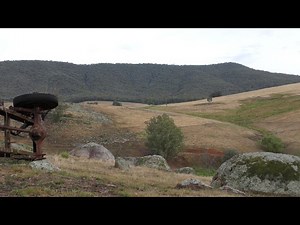 TIKKA .223 rabbit shooting