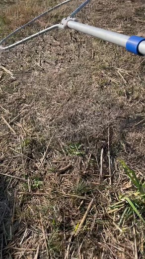 Fishing Techniques: Casting Nets for Catching Fish