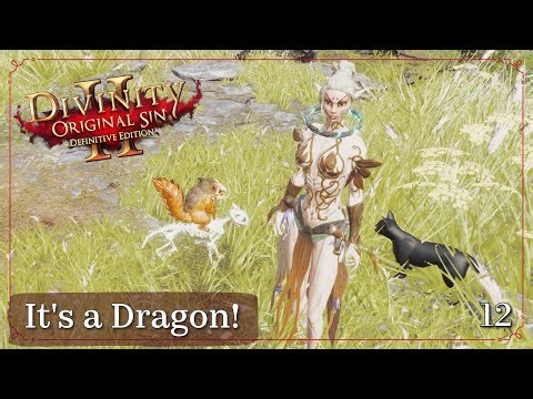 It's a Dragon! | Divinity Original Sin 2 | Ep. 12