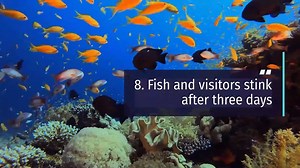 20 Benjamin Franklin Quotes