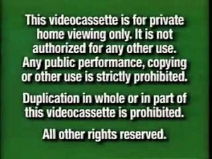 2000 Disney FBI Warning screens (grass green variant)