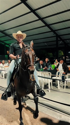 Me gustan indomables ❤️‍🔥😉 sírvalo pues ! #alanramirez #music #musicapopular #sirvalopues #caballos