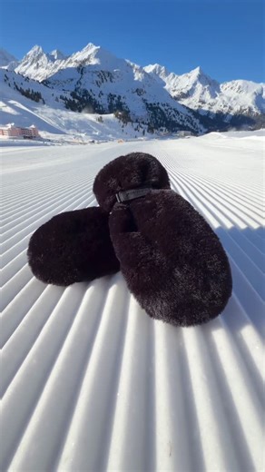 Reusch on Instagram: "✨ Embrace elegance this winter with our Reusch Molly Mitten! 🖤 These chic black mittens, made from luxurious faux fur bring puffy warmth and style to your cold-weather ensembles. 🧤 Equipped with @primaloft Gold insulation, they promise unbeatable warmth while keeping your hands dry with waterproof and breathable construction. Plus, our Reusch Touch Tec technology ensures you stay connected—no need to take them off! Experience the perfect blend of cozy functionality and so
