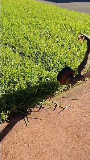 Clean Cut Lawn Edges with Honda GX25 Powered Straight Shaft Line Trimmer 👌 #gardenequipment