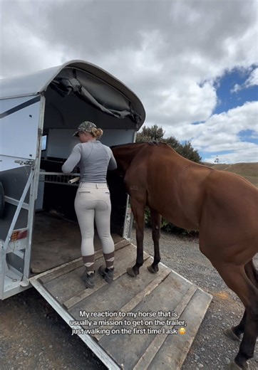 I could not believe it! 😂 maybe I just need to not do anything and he will load ! #equestrian #equestrianlife #equestriantiktok #horsetrailer #horseloading #shocked