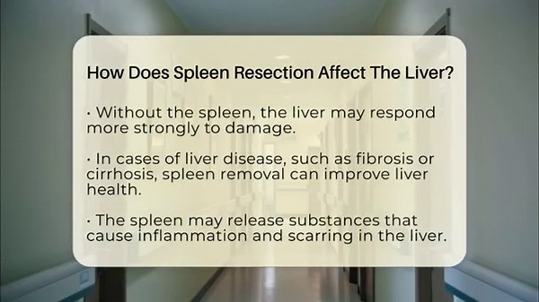 How Does Spleen Resection Affect The Liver? - The Operating Table