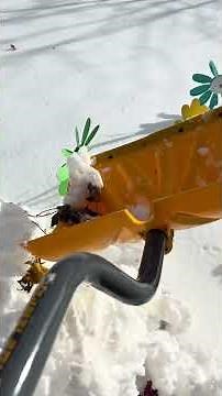 Snow Day 🌨️❄️🥶