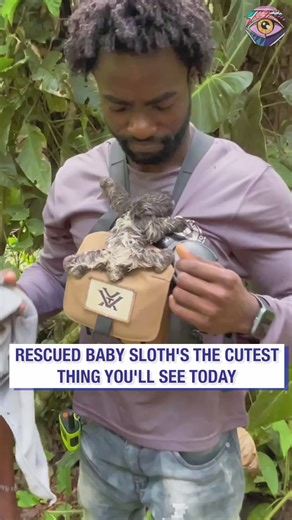 I just found my spirit animal 😊 | 5-Minute Crafts USA