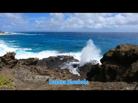 Halona Blowhole 🌈 Hawaii John