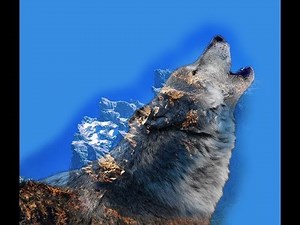 Amazing wolf Design !!! Double Exposure Effect !! (Photoshop tutorial