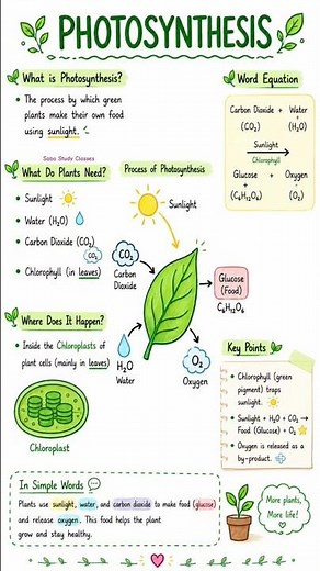 Photosynthesis Process Explained | How Plants Make Food | Science Short Video #viral #shorts