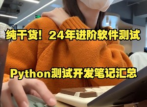 【Python测试开发】2024年进阶软件测试，自动化测试开发笔记...