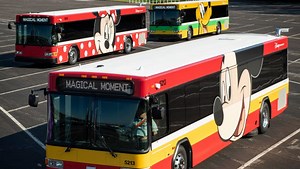 New Disney Buses are Rolling out at Walt Disney World | Chip and Company
