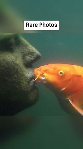 Rare Photos You’ll Talk About for Days! | Ｌｏａｄｉｎｇ ．．．