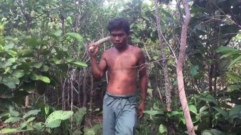 How Beetles and Crabs Ended Up on the Dinner Plate