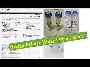 Cara Design Primer hingga Pemesanan Primer - untuk PCR