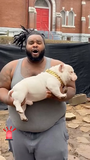 Listen to @powerplaybobby ! | BullyWeb TV