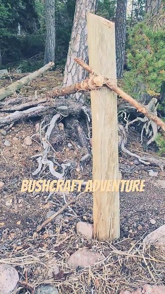 I Tried Island Bushcraft for 3 Days – Built a Beach Shelter