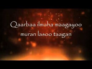 Abshir Bacadle - Ardayga Wanaagsan