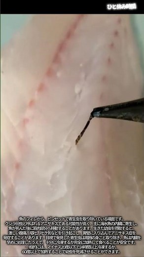 魚の身に移動したアニサキスを除去する工程