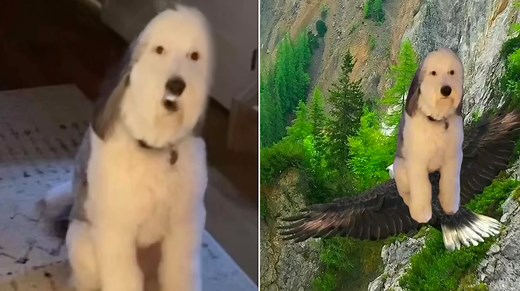 Come Over Here And Kiss Me On My Hot Mouth | Know Your Meme