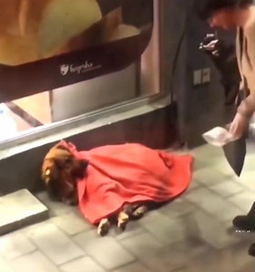 The dog won't forget this lady 🥹❤️ | 𝖧 𝗒 𝗉 𝗇 𝗈 𝗍 𝗂 𝗓 𝖾