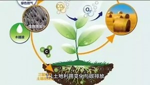 生态系统NPP及碳源、碳汇模拟实践技术应用