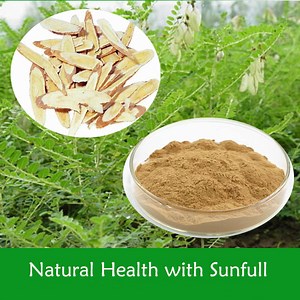 [Hot Item] Astragalus Extract with Astrangaloside for Immunity Enhancement