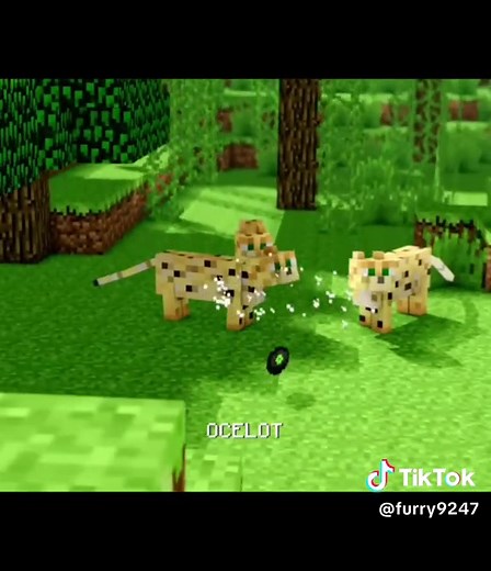 Enjoy the Full Creeper Song from Minecraft