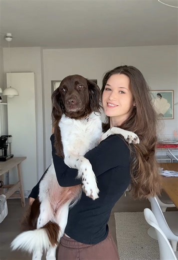 Canicross: The Perfect Sport for Dogs and Owners