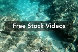 Tide Pool Videos, Download The BEST Free 4k Stock Video Footage & Tide Pool HD Video Clips