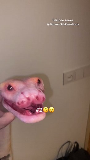 Realistic Silicone Snake Puppet for Creative Play