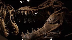 We Finally Have an Answer as to Why The T-Rex’s Arms Are So Short