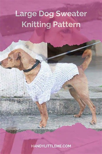 Large Dog Sweater Knitting Pattern